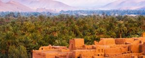 Make the Middle East your next incentive destination